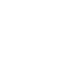QGovernance Logo